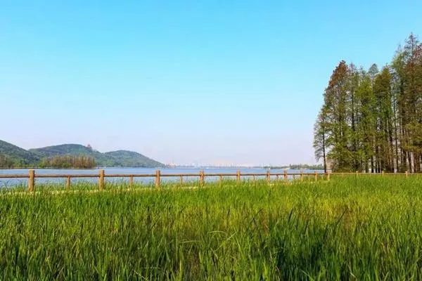 東湖落雁島游玩攻略 交通、門(mén)票、怎么玩等信息都在這了