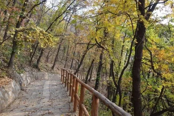 石家莊天桂山景區開(kāi)放了嗎